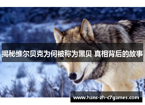 揭秘维尔贝克为何被称为黑贝 真相背后的故事 揭秘维尔贝克为何被称为黑贝 真相背后的故事