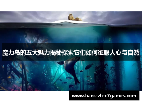 魔力鸟的五大魅力揭秘探索它们如何征服人心与自然