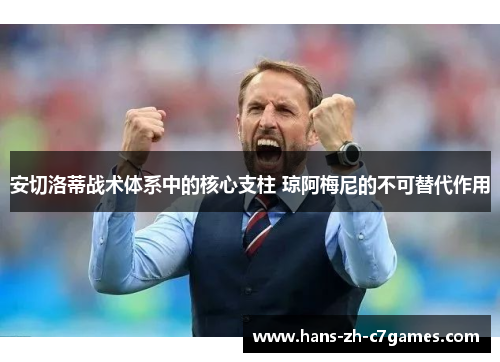 安切洛蒂战术体系中的核心支柱 琼阿梅尼的不可替代作用